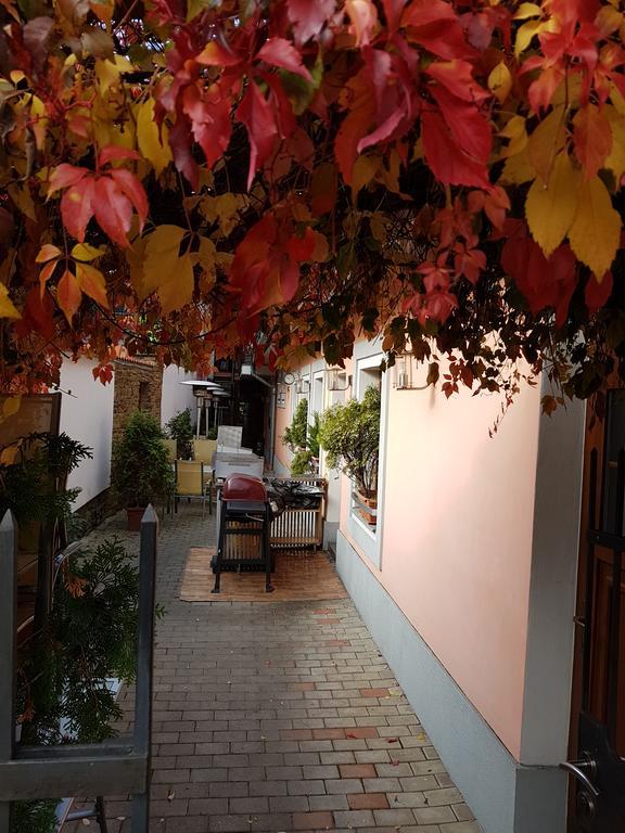 Alex Pension Prešov Exterior foto